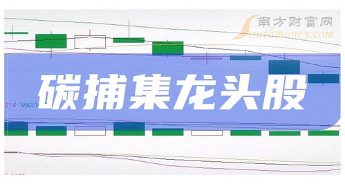 碳捕集技術(shù)崛起與輸電業(yè)務(wù)的緊密協(xié)同 三大龍頭股的投資視角